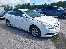 5NPEB4AC5DH****** Salvamento y Destrozados 2013 Hyundai Sonata en Rochester