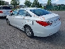 5NPEB4AC5DH****** Salvamento y Reparables 2013 Hyundai Sonata en Rochester
