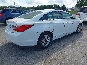 5NPEB4AC5DH****** Salvamento y Destrozados 2013 Hyundai Sonata en Estado de Nueva York