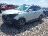 5XYZW4LA3HG****** Usados y Reparables 2017 Hyundai Santa Fe en Lexington