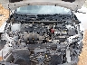 3N1AB7AP9KY****** Repairable 2019 Nissan Sentra in Springfield
