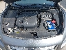1N4AA5APXEC****** Repairable 2014 Nissan Maxima in Templeton