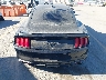 1FA6P8TH0L5****** Wrecked 2020 Ford Mustang