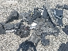 2T3G1RFV9RC****** Destrozados 2024 Toyota RAV4 en Estado de Maryland