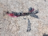 5XXGT4L38LG****** Destrozados 2020 Kia Optima en Estado de Mississippi