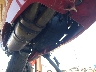 MLHPC7059S5****** Salvage and Wrecked 2025 Honda Cbr500r in Fontana