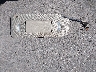 3GCUKTEC6FG****** Wrecked 2015 Chevrolet Silverado 1500 in Texas State