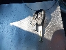 4S3BL616687****** Salvage 2008 Subaru Legacy in Ohio State