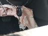 4T1BF1FK1HU****** Salvamento 2017 Toyota Camry en Estado de Georgia