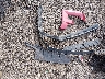 1FTFW1EG7HF****** Destrozados 2017 Ford F-150 en Estado de Ohio