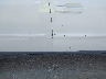 YV4CZ982971****** Salvage and Repairable 2007 Volvo XC90 in Indiana State