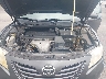 4T1BE46K19U****** Reparables 2009 Toyota Camry en Saint Louis