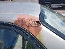 1NXBR12E1XZ****** Salvage and Repairable 1999 Toyota Corolla in Hawaii State