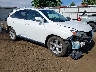 2T2BK1BA9AC****** Salvamento y Destrozados 2010 Lexus RX en Spokane