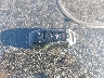 3FA6P0K90ER****** Salvage 2014 Ford Fusion in Texas State