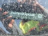 3FA6P0K90ER****** Used 2014 Ford Fusion in Dallas