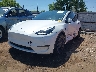 5YJYGDEF0MF****** Used and Repairable 2021 Tesla Model Y in Oklahoma City