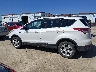 1FMCU9GX6DU****** Reparables 2013 Ford Escape en Estado de Illinois