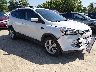 1FMCU9GX6DU****** Salvamento y Destrozados 2013 Ford Escape en Saint Louis