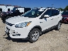 1FMCU9GX6DU****** Usados y Reparables 2013 Ford Escape en Saint Louis