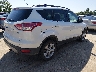 1FMCU9GX6DU****** Salvamento y Destrozados 2013 Ford Escape en Estado de Illinois