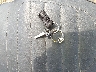 2L010**** Salvamento 1979 Yamaha Xs400 en Estado de Illinois