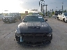 1FA6P8CF6R5****** Destrozados 2024 Ford Mustang en Estado de Texas