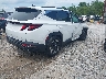 5NMJB3DE1RH****** Salvamento y Destrozados 2024 Hyundai Tucson en Estado de Mississippi