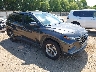5NMJBCAE2PH****** Salvage and Wrecked 2023 Hyundai Tucson in Knoxville