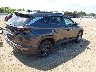 5NMJBCAE2PH****** Salvage and Wrecked 2023 Hyundai Tucson in Tennessee State