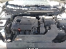 5NPE34AF4GH****** Repairable 2016 Hyundai Sonata in Raleigh