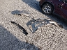 1NXBU4EE9AZ****** Wrecked 2010 Toyota Corolla in Iowa State
