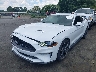 1FA6P8TH9N5****** Usados y Reparables 2022 Ford Mustang en Greensboro