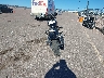 1HD1YJJ28KB****** Salvage and Repairable 2019 Harley-Davidson Street Bob in Colorado State