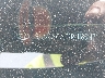 5NMJACAE2PH****** Repairable 2023 Hyundai Tucson