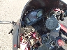JH2PC4081AK****** Salvage 2010 Honda Cbr600 in Long Island