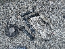 5YJ3E1EA1KF****** Wrecked 2019 Tesla Model 3 in Arkansas State