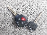 JTMZD33V685****** Salvamento 2008 Toyota RAV4 en Estado de Florida