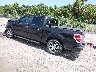 1FTFW1CF2EK****** Salvage and Repairable 2014 Ford F-150 in Tampa North