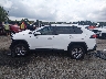 2T3W1RFV5RC****** Salvamento 2024 Toyota RAV4