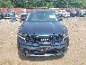 KNDRHDLG8P5****** Wrecked 2023 Kia Sorento in New Jersey State
