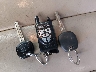 4T1BF28BX2U****** Salvage 2002 Toyota Avalon in Minnesota State