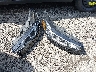 1FMCU9MN2TU****** Wrecked 2026 Ford Escape in Ohio State