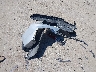 3KPC24A61NE****** Wrecked 2022 Hyundai Accent in New Hampshire State