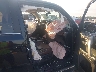 JTEBU5JR2K5****** Usados y Reparables 2019 Toyota 4Runner en Estado de Indiana