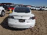 5YJ3E1EA8MF****** Wrecked 2021 Tesla Model 3