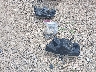 1FTPW14V37F****** Destrozados 2007 Ford F-150 en Estado de Wisconsin