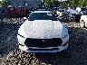 1FA6P8TH6R5****** Destrozados 2024 Ford Mustang en Estado de Virginia Occidental