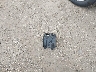 1C4RDJDG3LC****** Wrecked 2020 Dodge Durango in Iowa State