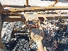 4XARSE994K8****** Salvage 2019 Polaris Ranger in Kansas City